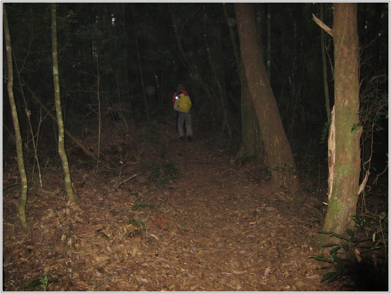 2011-09-29 14-34-26登金柑樹山途中.JPG